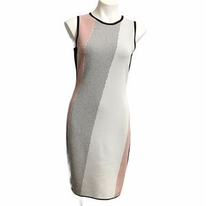 Etcetera Sleeveless Color Block Knit Dress Size S